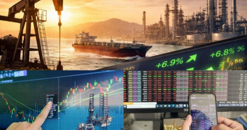 Thị trường chứng khoán đối mặt “thiên nga đen”: Khi rủi ro thay thế tăng trưởng