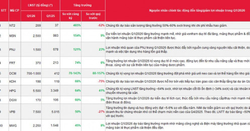 SSI “soi” KQKD quý I của 40 DN: NT2, MSN, PNJ tăng bằng lần, KBC, SZC đối mặt sụt giảm