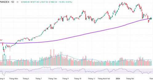 VN-Index phản ứng nhẹ nhàng dù thế giới tiêu cực cuối tuần - Các cổ phiếu định giá rẻ không thể bỏ lỡ!
