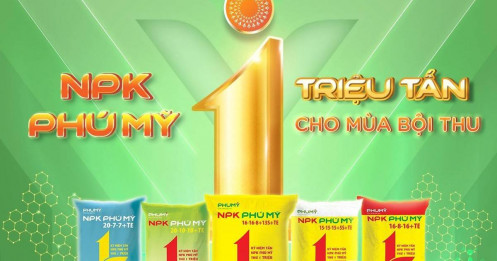 DPM: "Cỗ Máy In Tiền" Ngành Phân Bón Tăng Tốc – Mục Tiêu Lợi Nhuận 680 Tỷ Đồng Có Quá Khiêm Tốn?