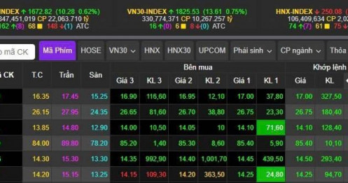 Bất động sản thức giấc - TCH, NVL, DXG thể hiện sức mạnh