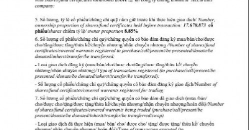 Call margin dồn dập, gia đình Chủ tịch doanh nghiệp BĐS bị bán giải chấp lượng lớn cổ phiếu