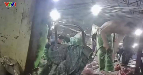 Rúng động Hà Nội: Hàng trăm trường học có thể đã dùng thịt lợn bệnh