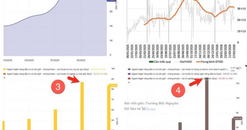 Ngành chứng khoán đã đi qua điểm tối ưu, đỉnh lợi nhuận và đỉnh nguồn thu?
