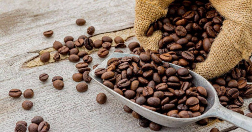 Giá cà phê hôm nay Lao dốc mạnh tại Tây Nguyên, thị trường chịu áp lực nguồn cung toàn cầu