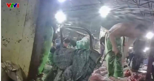 Rúng động: Hàng trăm trường học Hà Nội liên quan đường dây thịt lợn bệnh