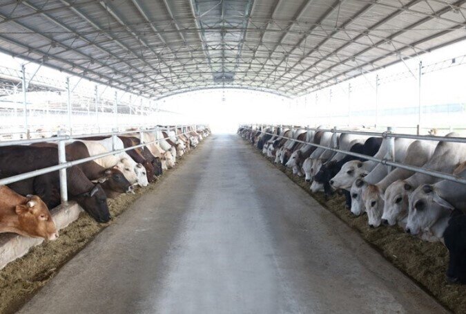 Vì sao Hòa Phát, REE, TMT xuất hiện trong kế hoạch thanh tra 2026 của Hưng Yên?