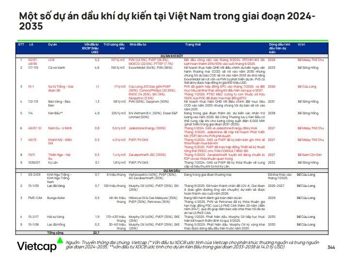 Sửa Luật Dầu khí: Loạt doanh nghiệp hưởng lợi, xuất hiện công ty của ông Phạm Nhật Vượng