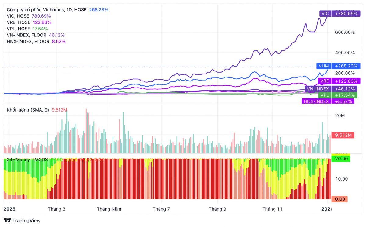 VN-Index vọt đỉnh lịch sử, NĐT vẫn thua lỗ nặng: Nghịch lý khó tin