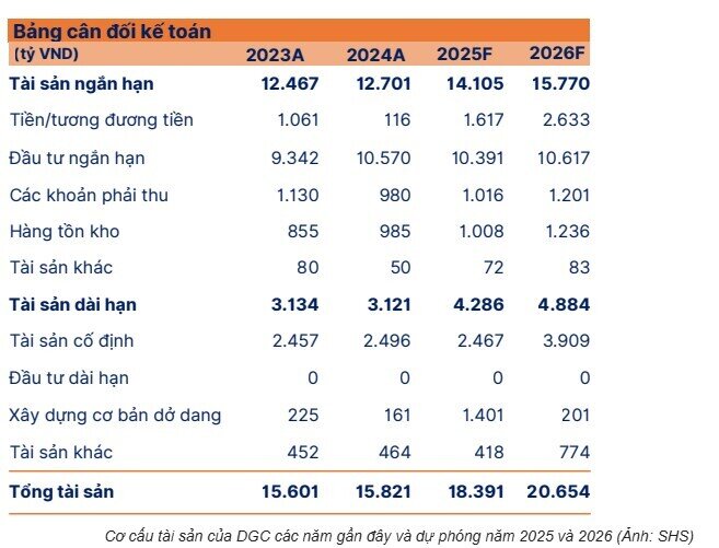 Nếu rời VN30, DGC còn được kỳ vọng gì?