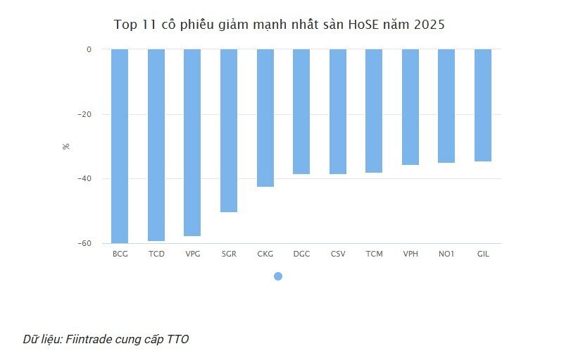 11 cổ phiếu giảm mạnh nhất sàn HoSE năm 2025