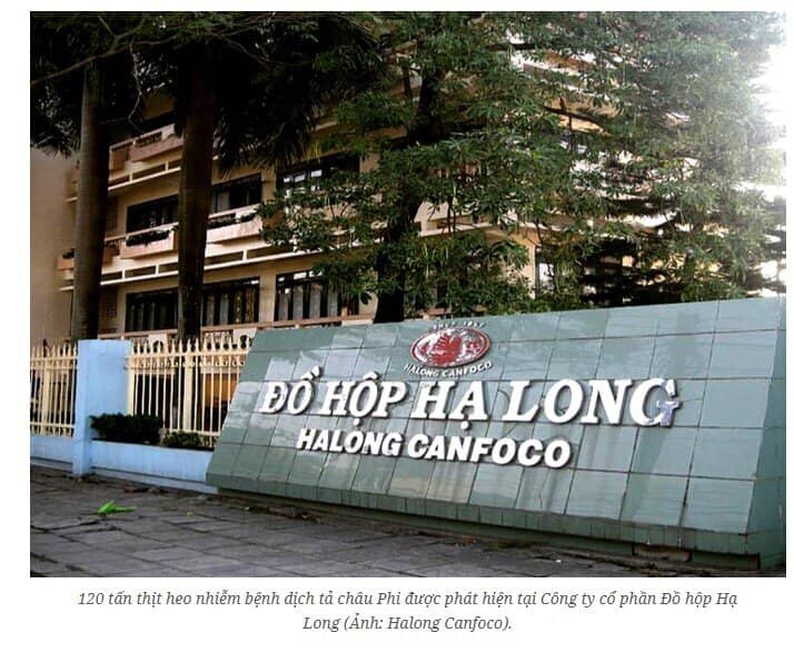 Vụ 120 tấn thịt lợn bệnh: Doanh nghiệp nào đứng sau?