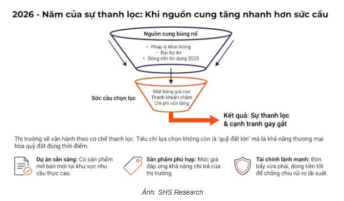Thị trường tăng mạnh, cổ phiếu BĐS phân hóa sâu: Dòng tiền thông minh đang ở đâu?