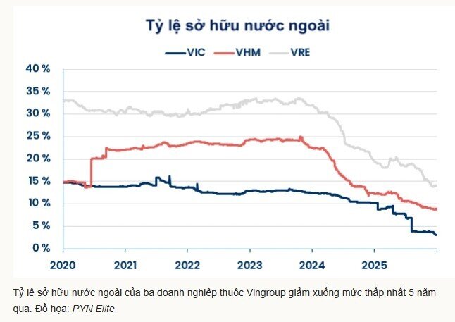 'Cá mập' PYN Elite: Lợi nhuận giảm do không mua cổ phiếu nhóm Vingroup
