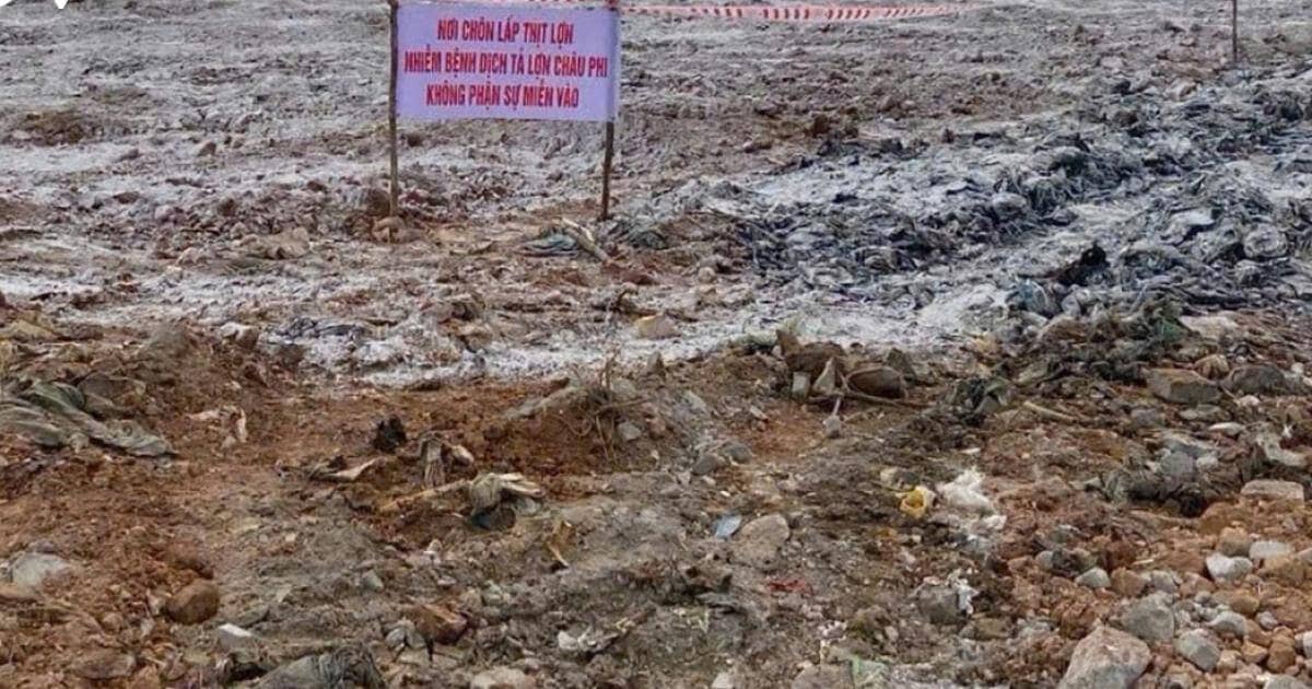 Tiêu huỷ hơn 1,7 tấn pate và 7 tấn chả giò