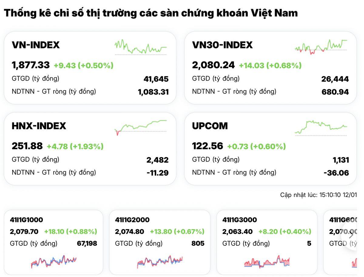 Tiền vào như nước, cổ phiếu tím ngắt khắp các nhóm ngành