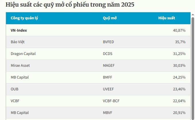 Không có quỹ mở nào vượt mặt VN-Index trong năm qua