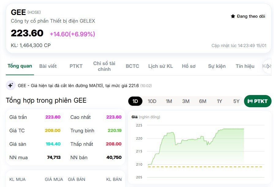 Cổ phiếu GEE bật trần sau thông tin chia cổ tức 130%