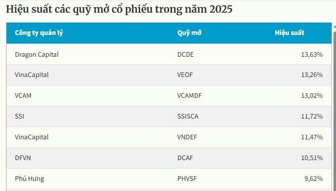 Không có quỹ mở nào vượt mặt VN-Index trong năm qua