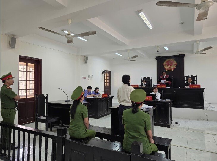 Vợ chồng bà Nguyễn Phương Hằng không đến toà theo giấy triệu tập, bà Đinh Lan muốn hoãn phiên toà