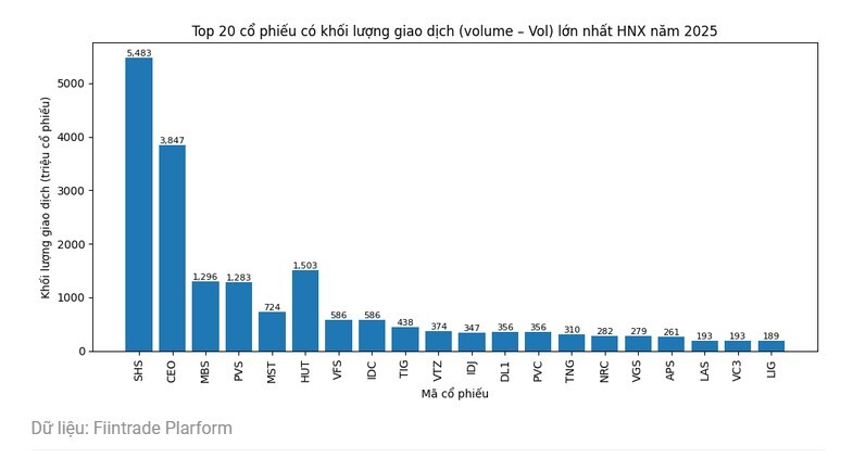 Cổ phiếu nào có số lượng NĐT tham gia lớn nhất sàn năm 2025?