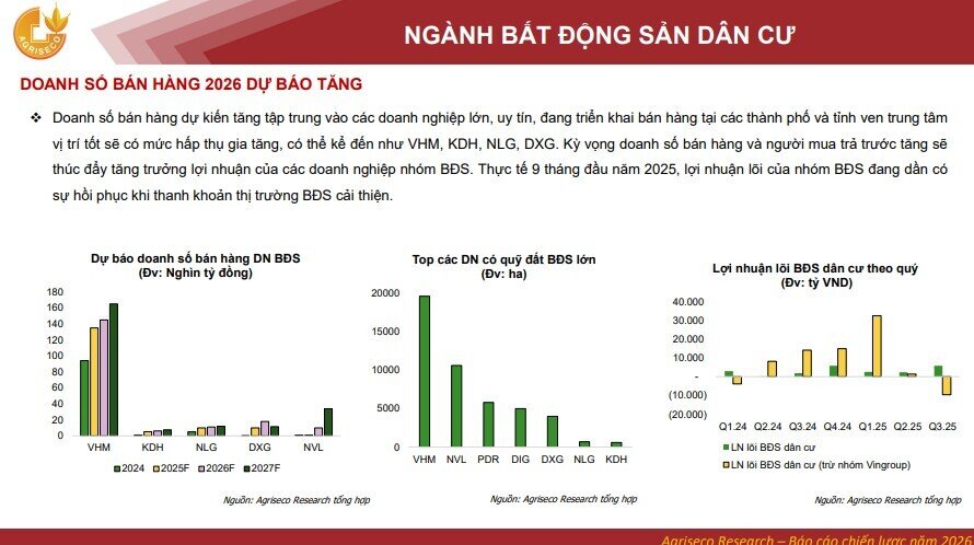 Cổ phiếu BĐS nhỏ và vừa đang có giá chiết khấu hấp dẫn