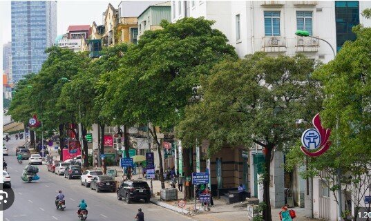 Hà Nội chấm dứt hoạt động dự án nhà cao tầng ở 'đất vàng' Nguyễn Chí Thanh