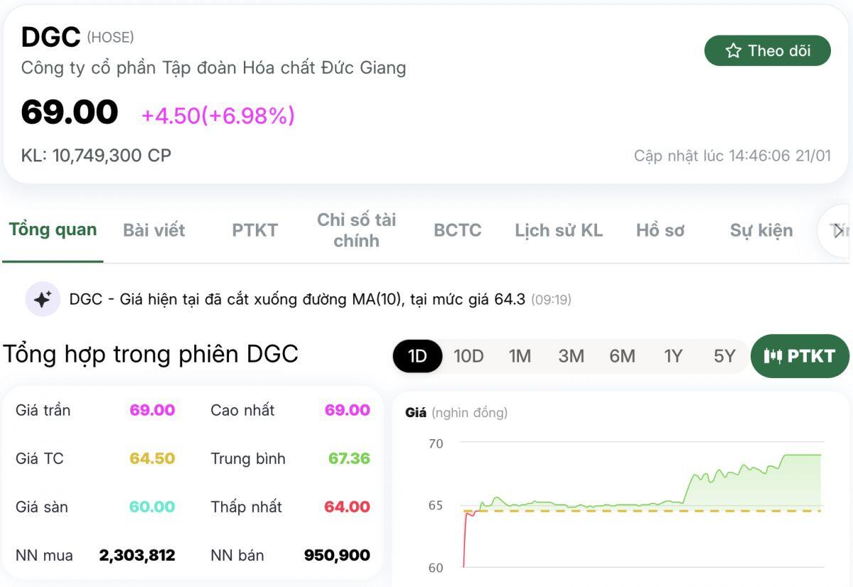 Cổ phiếu Hóa chất Đức Giang (DGC) "có biến"