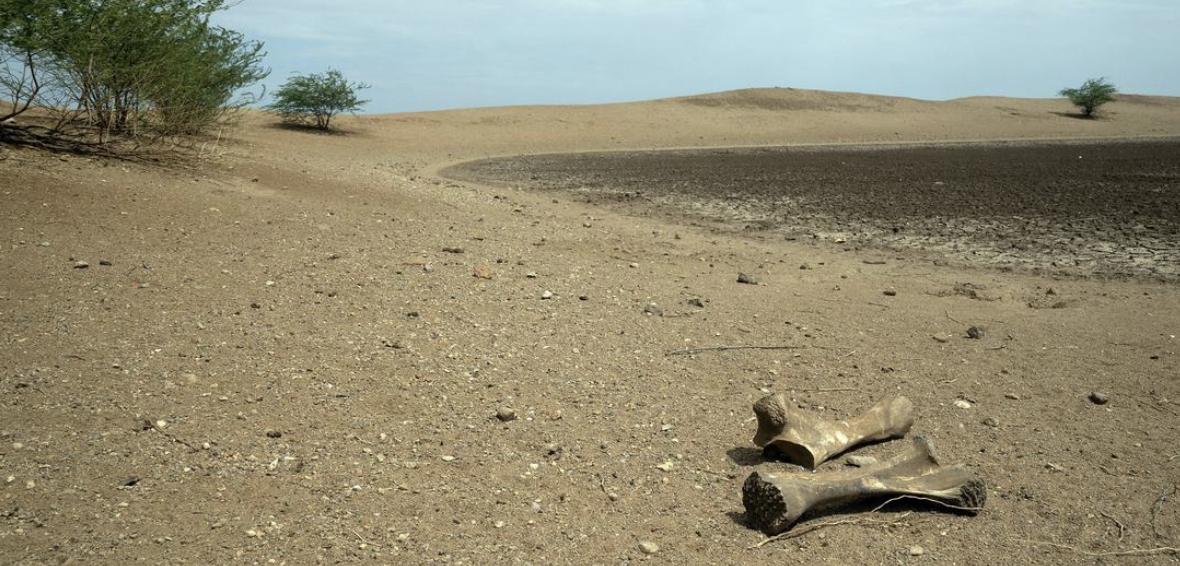 Cảnh báo mới về khủng hoảng nước: “Trạng thái bình thường” đã không còn