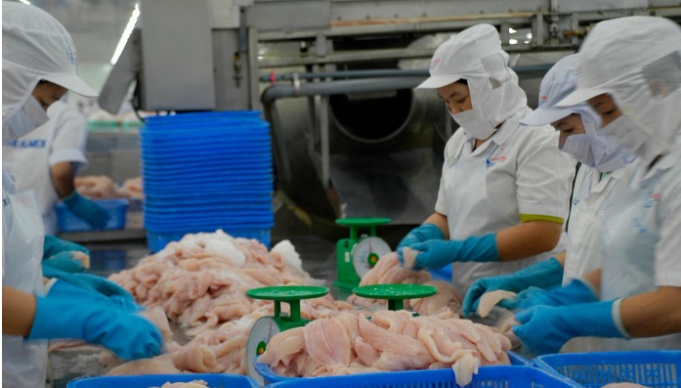 Cá tra Việt Nam bán cho Trung Quốc nhiều nhất