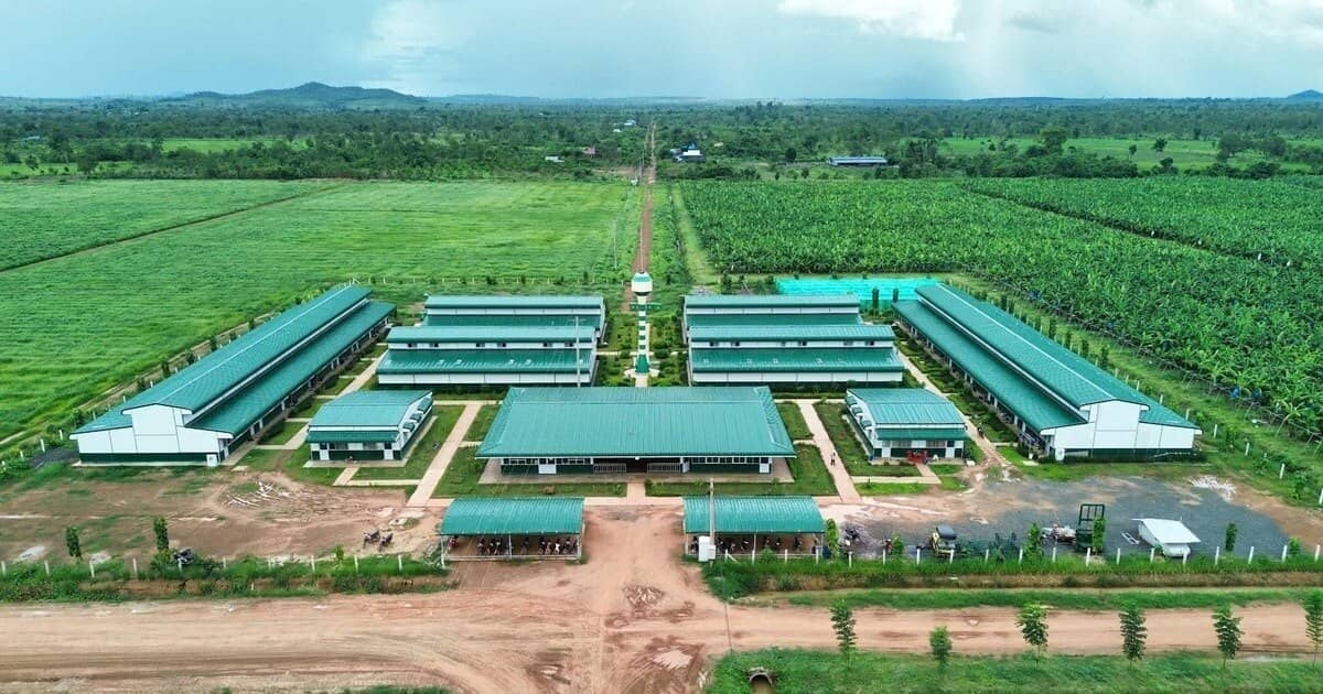 Tham vọng Campuchia và phép thử trái phiếu quốc tế của Thaco Agri