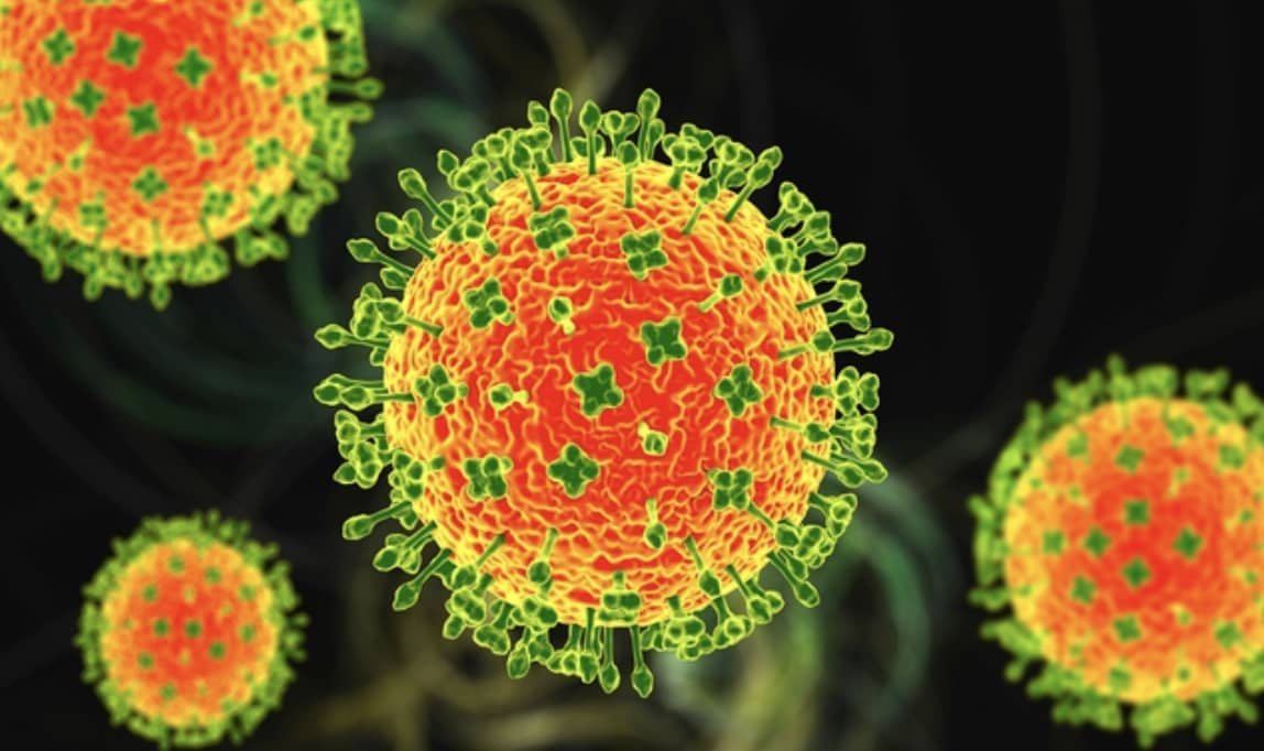 Virus Nipah tái bùng phát ở Ấn Độ: Loại virus “tử thần” chưa có thuốc chữa khiến cả châu Á báo động