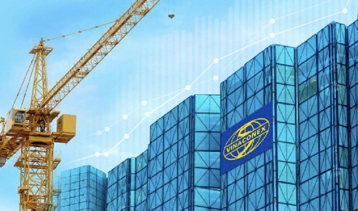 Cổ phiếu giảm sàn, Vinaconex sắp vào diện thanh tra: Ai kiểm soát, ai cho vay?