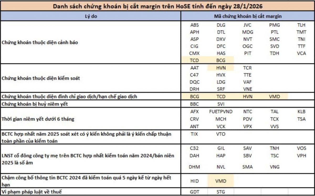 Cầm margin coi chừng: 74 mã bị HoSE gạch tên