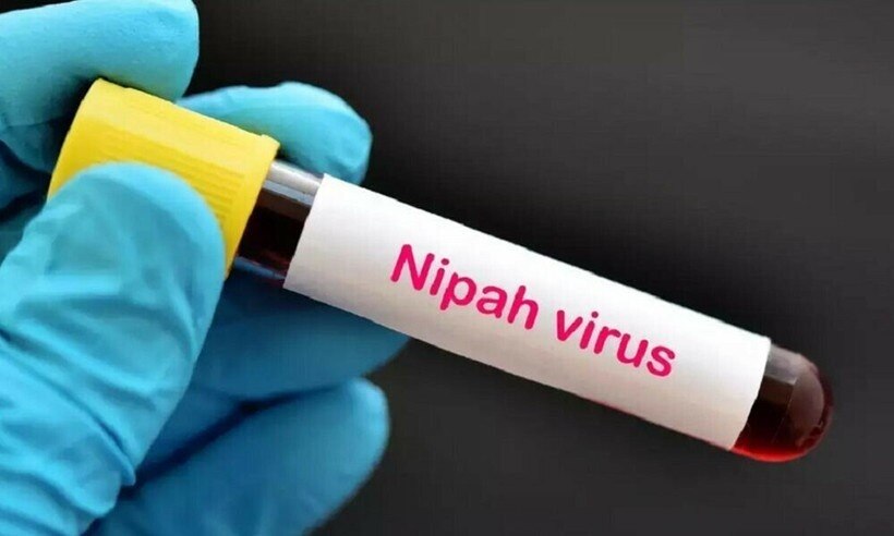 Sắp thử nghiệm vắc-xin phòng virus Nipah trên người