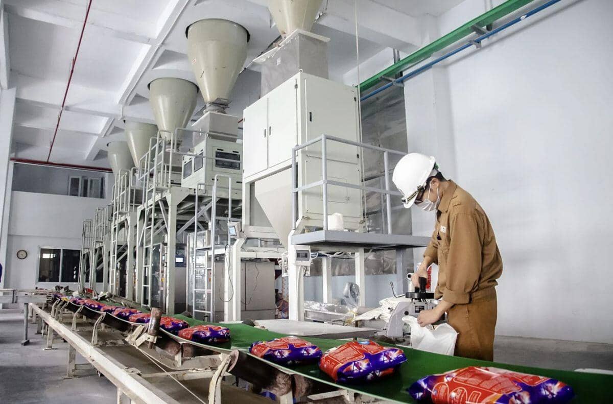 DGC: Doanh thu tăng nhưng lãi lao dốc, rủi ro nguồn cung phủ bóng năm 2026