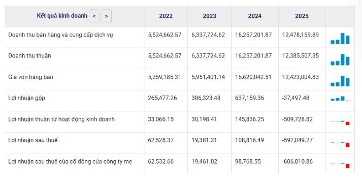 Doanh thu lớn, kết cục đau: Lỗ sâu nhất TTCK 2025 gọi tên ai?