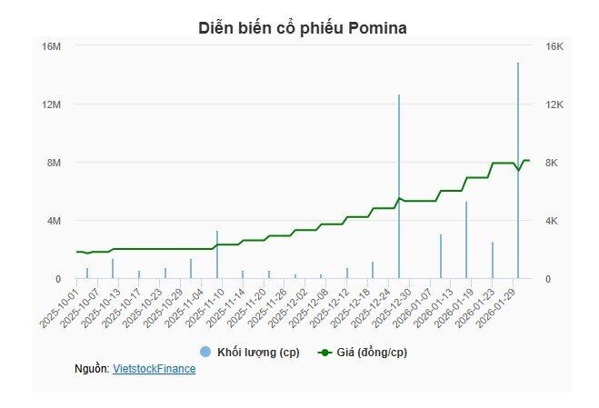 Pomina có năm lỗ hơn 800 tỷ, cổ phiếu vẫn bứt phá hơn 300%