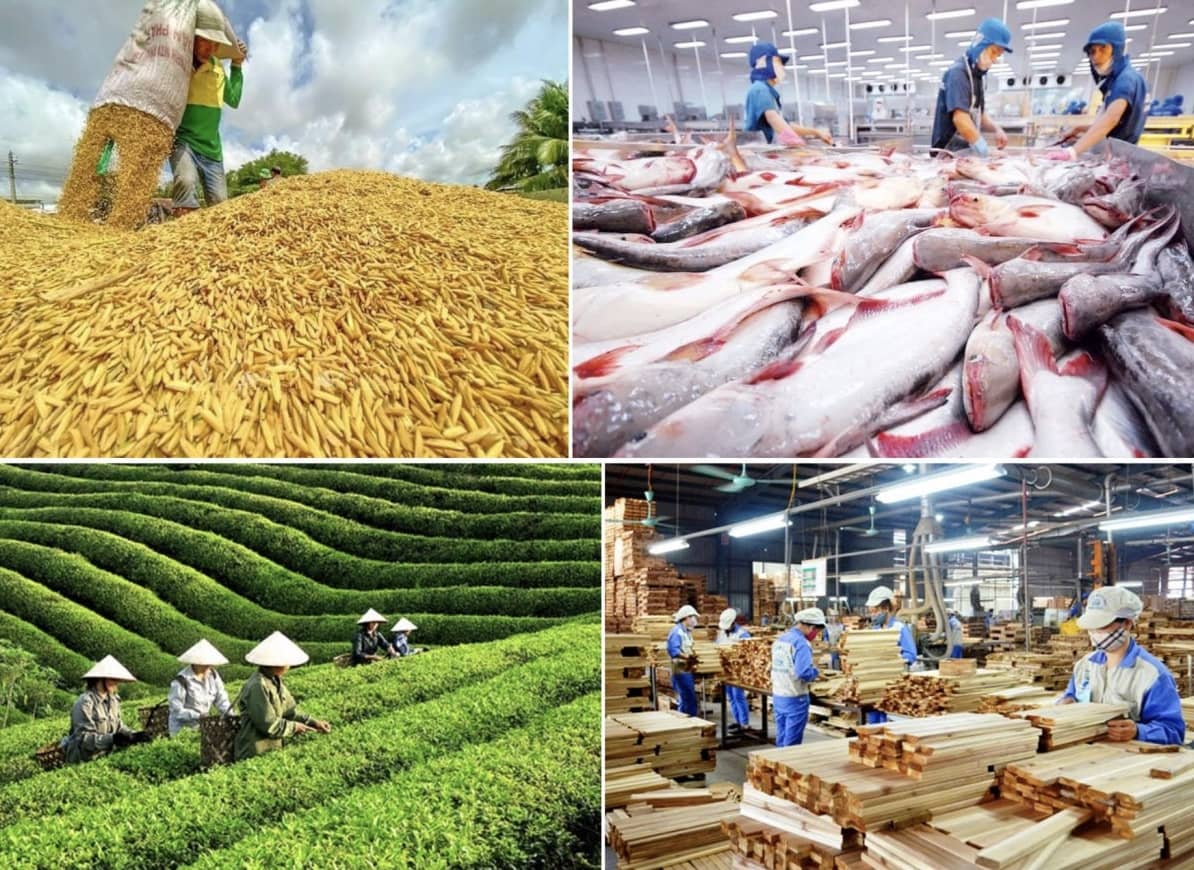 Xuất khẩu nông, lâm, thủy sản khởi sắc đầu năm 2026, tăng gần 30% so với cùng kỳ
