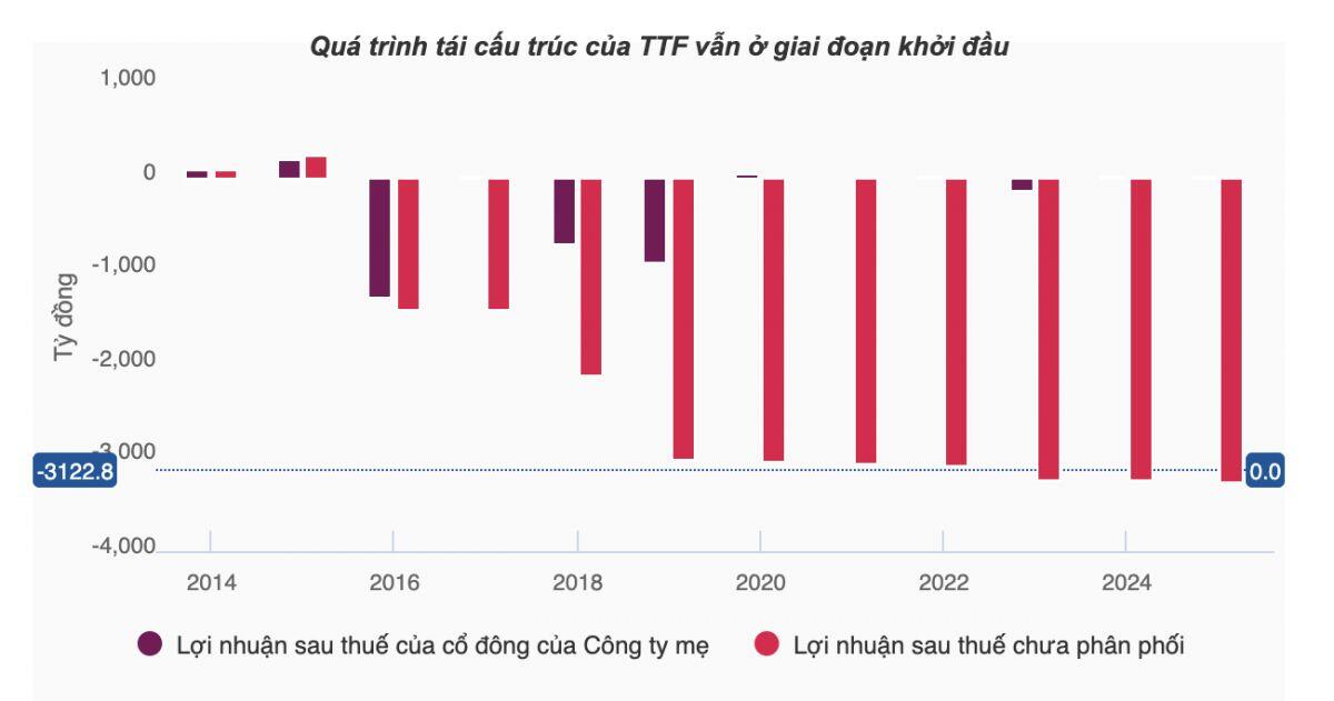 Ngành gỗ 2025: Cuộc chơi của số ít