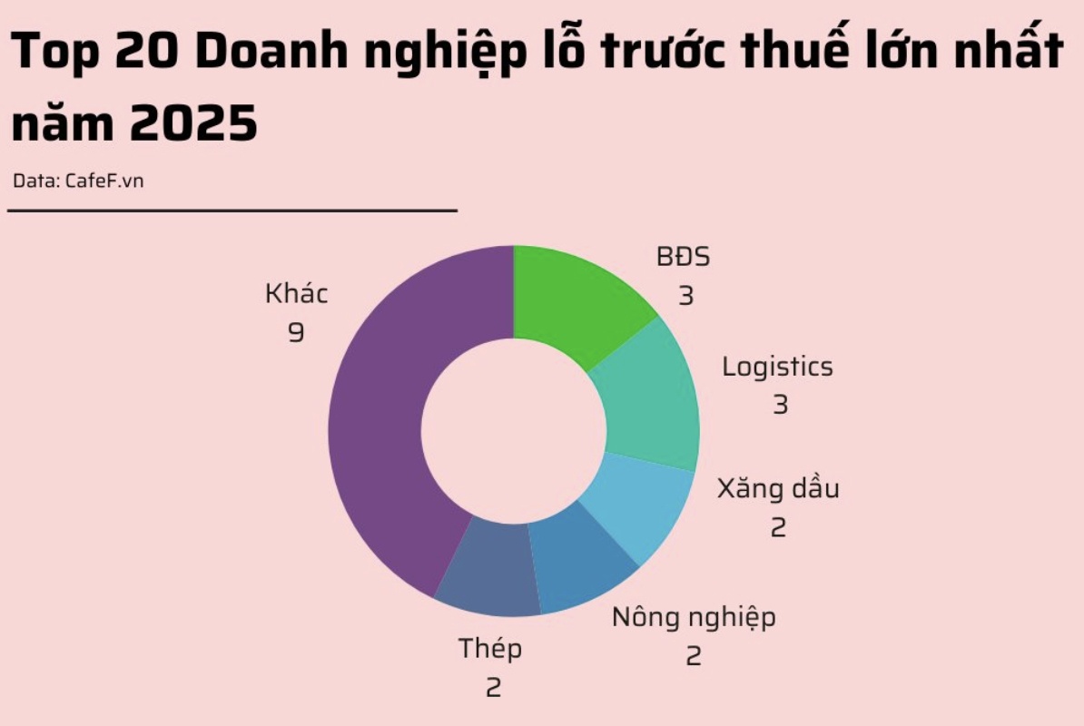 20 DN lỗ trước thuế lớn nhất năm 2025