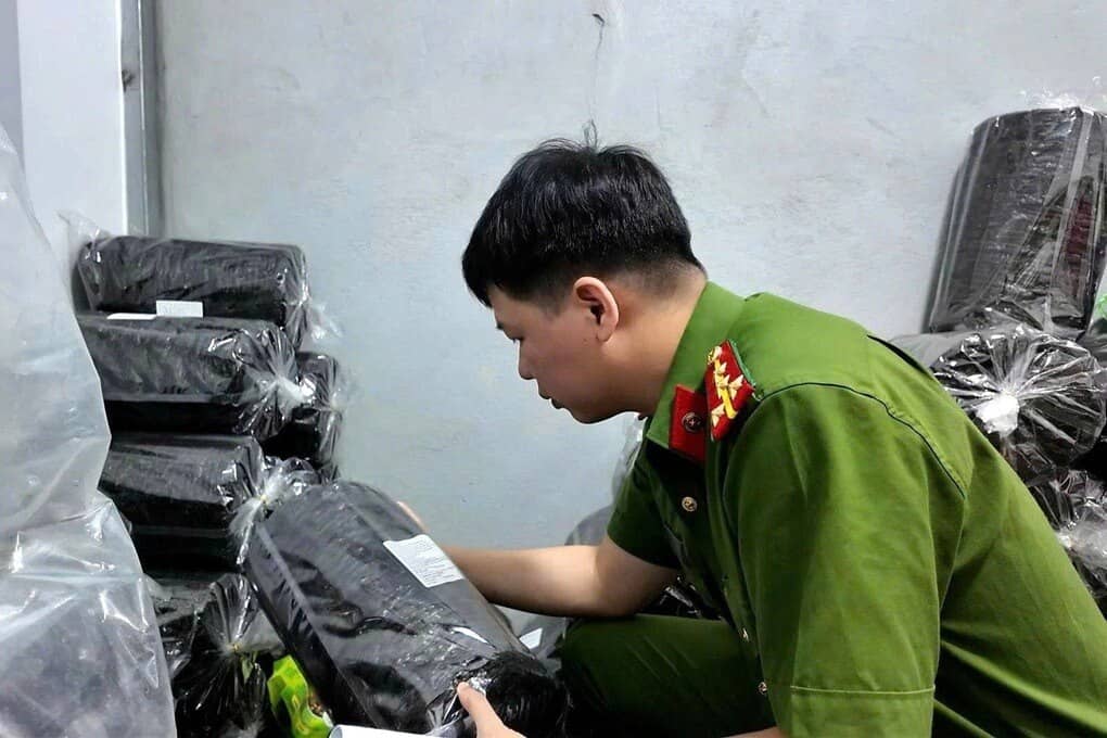 Rong biển hay rác thải đội lốt?