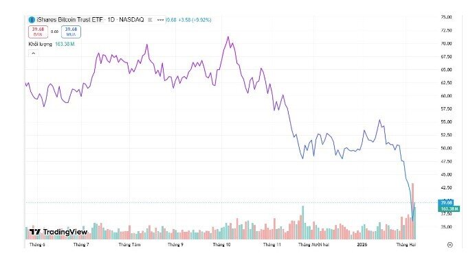Điều gì khiến “cá voi” Bitcoin bùng nổ giao dịch kỷ lục?