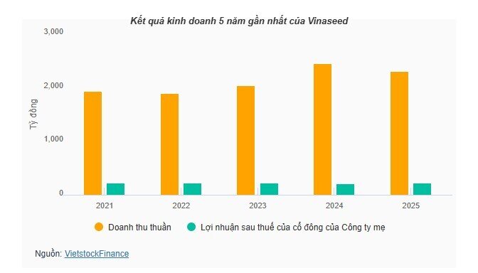 Ngành gạo 2025: Xuất khẩu hạ nhiệt, nhiều doanh nghiệp vẫn thắng lớn