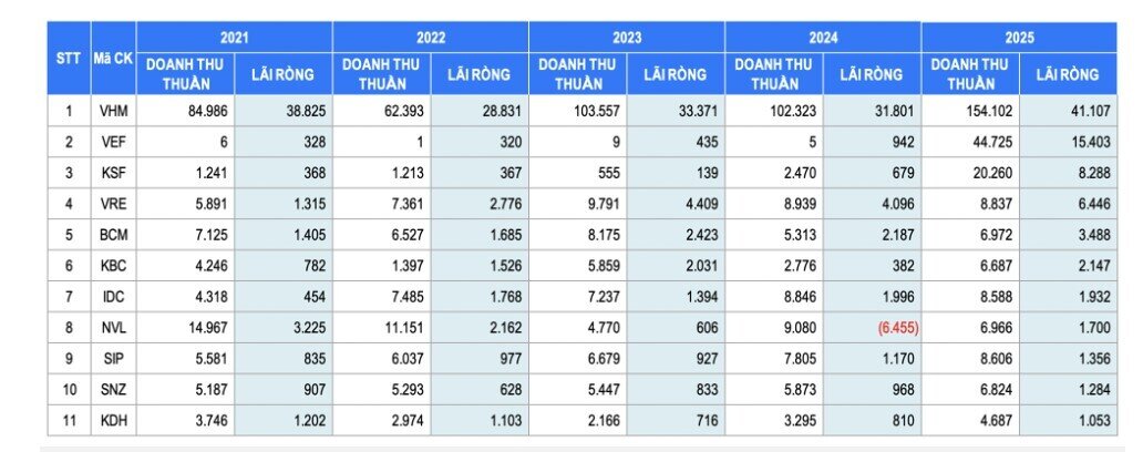 Lộ diện 11 “ông lớn” địa ốc lãi nghìn tỷ năm 2025