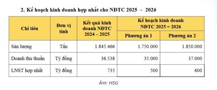 HSG hạ kỳ vọng kinh doanh, phát tín hiệu thận trọng với thị trường thép
