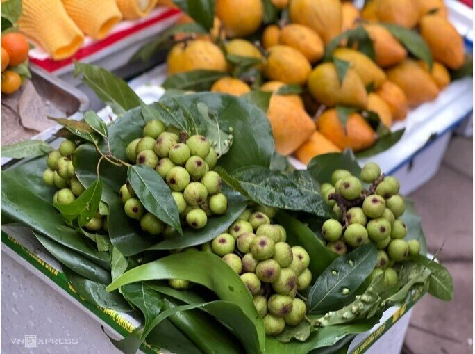Chuối xanh bày Tết giá lên tới hơn triệu đồng