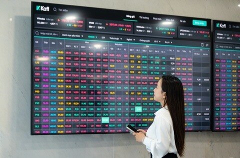 Quỹ lớn chờ cơ hội “nhặt hàng”