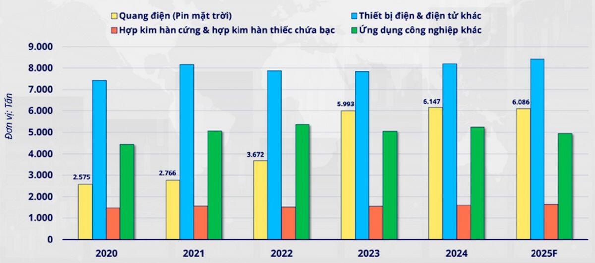 Sau khi 'cắm đầu' giảm giá hơn 30 triệu/kg, năm 2026 đầu tư bạc có 'nguội lạnh'?