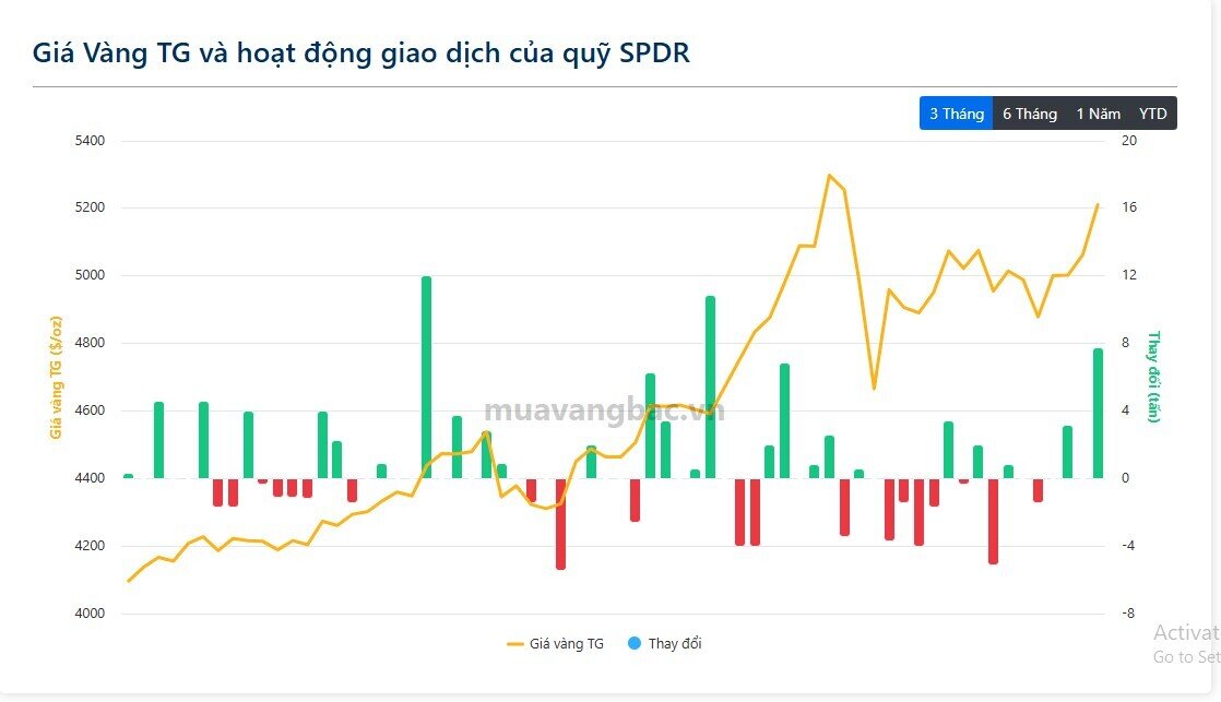 Cá mập gom gần 8 tấn vàng chỉ trong một ngày